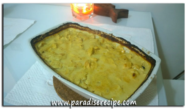 pollokorma_4